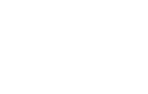 Ikoni 1