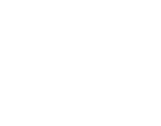 Ikoni 2